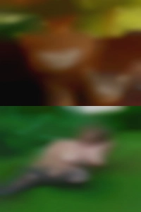 evanb312, fuck mate evanb312, fuck mate