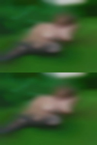 Kelleyfake4, naked girls showing there