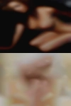 Adult swingers clubs Albany