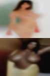 Bovine sex